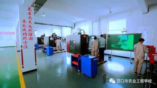 以网络技术赋能职业教育 推动实用高效发展，增强服务区域经济能力